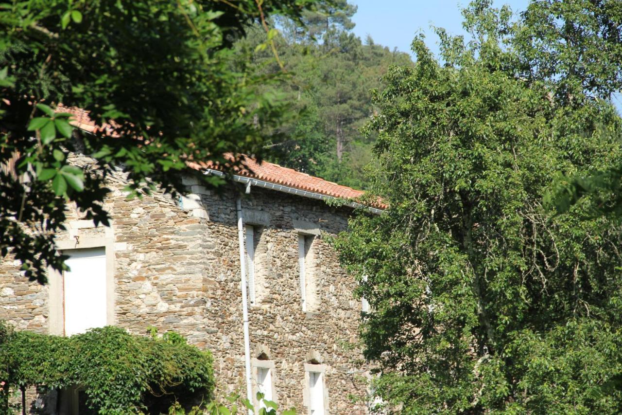 Gite Valescure Saint-Michel-de-Dèze Zewnętrze zdjęcie